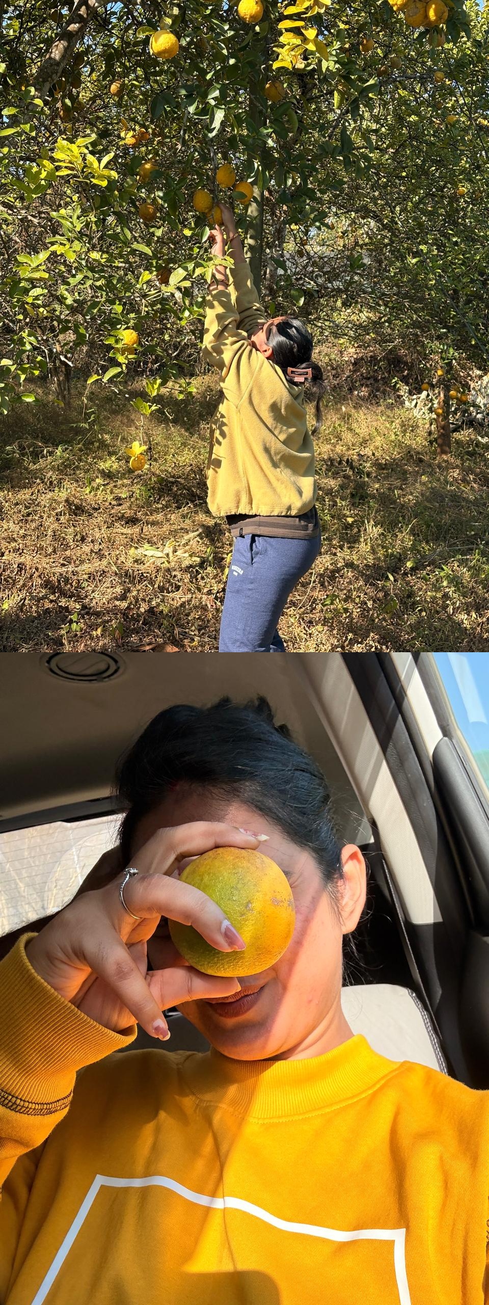 Orange Girl